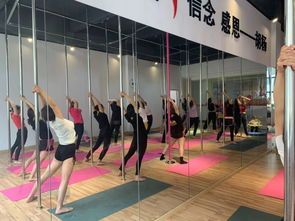 勁爆好消息！胡楊舞蹈周年特惠，僅198元體驗舞蹈魅力！